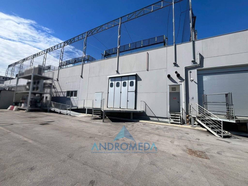 immagine annuncio 11 di 13