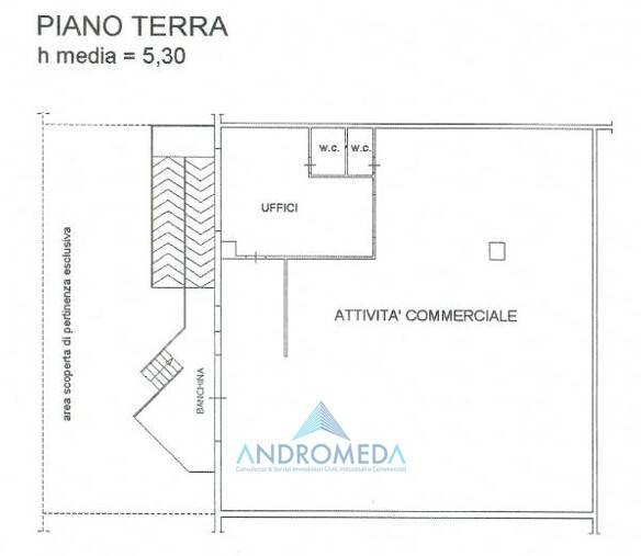 immagine annuncio 12 di 13