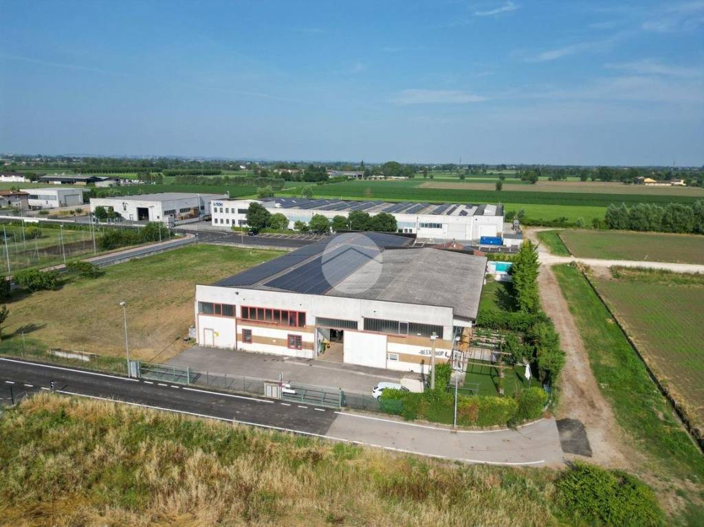 immagine annuncio 10 di 15