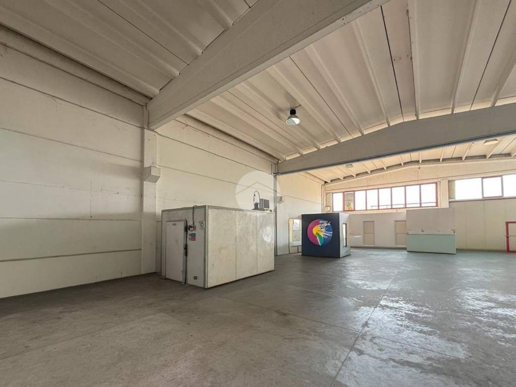 immagine annuncio 13 di 15