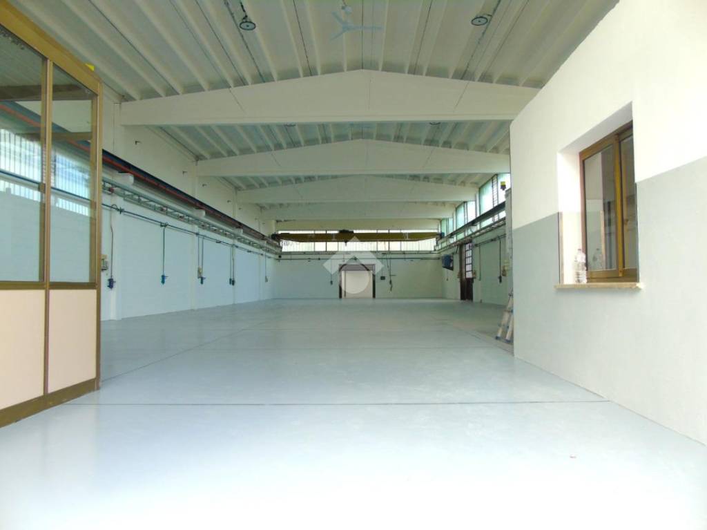 immagine annuncio 8 di 12
