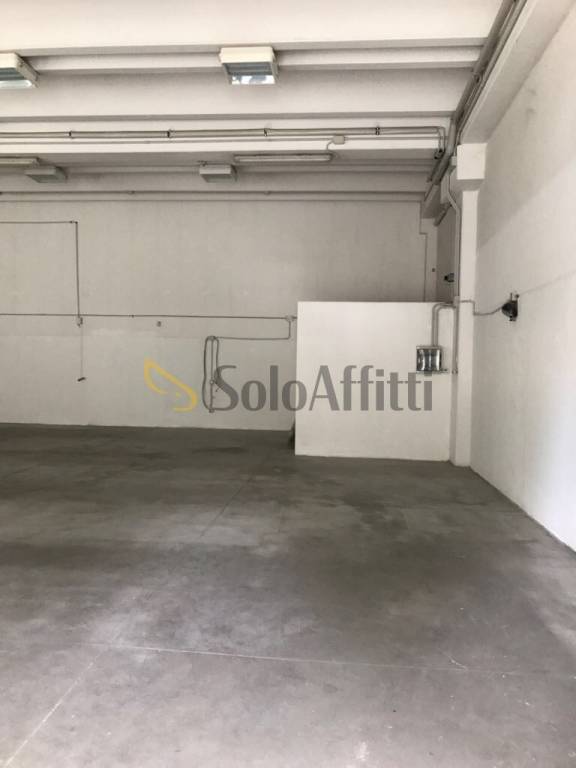 immagine annuncio 5 di 7