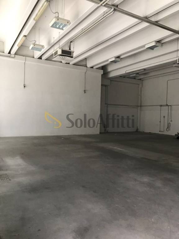 immagine annuncio 6 di 7