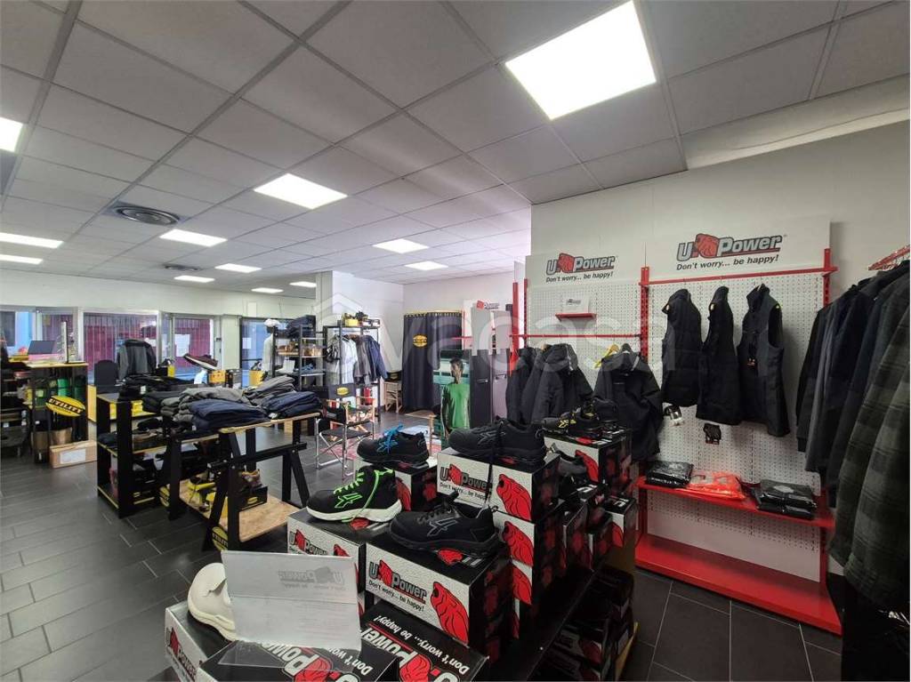 immagine annuncio 10 di 15