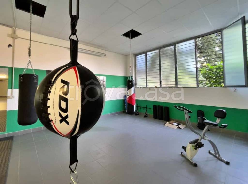 immagine annuncio 14 di 15