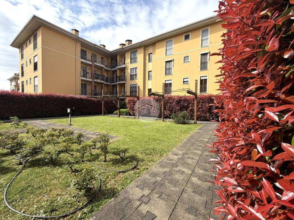 immagine annuncio 14 di 15