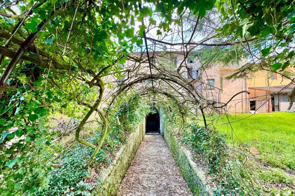 immagine annuncio 11 di 13