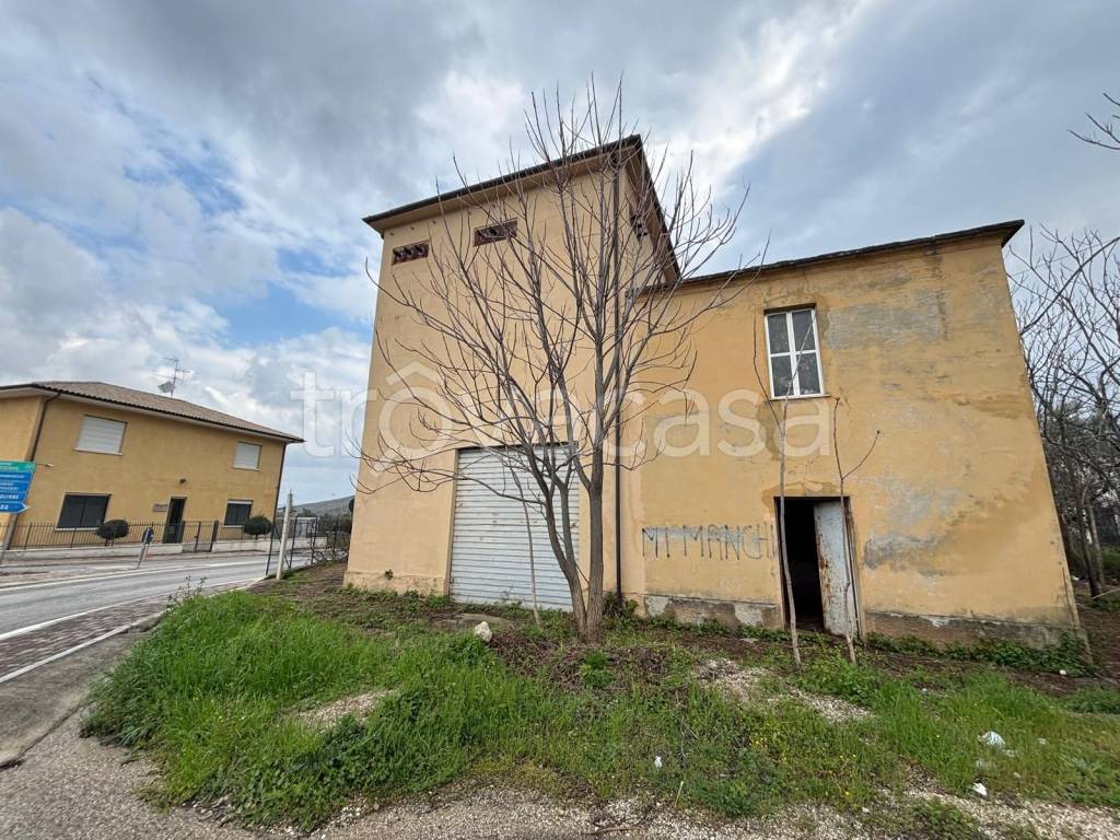 immagine annuncio 2 di 12