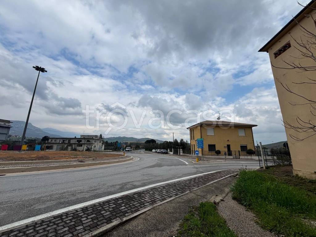 immagine annuncio 3 di 12