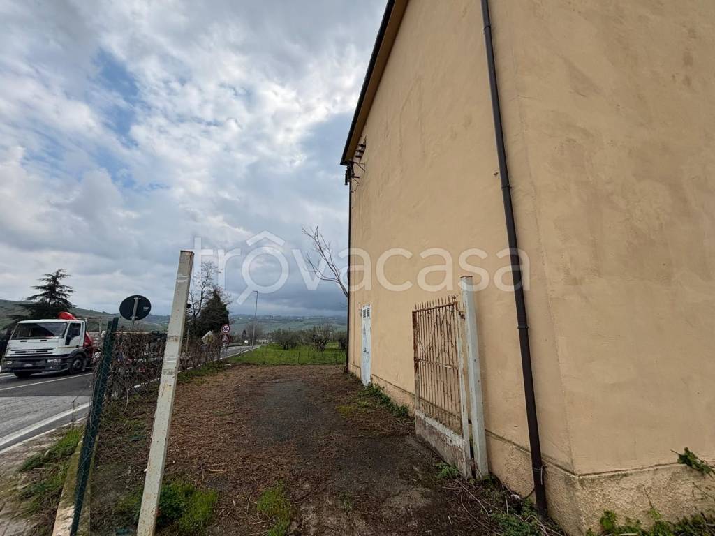 immagine annuncio 4 di 12