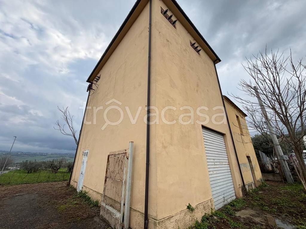 immagine annuncio 5 di 12