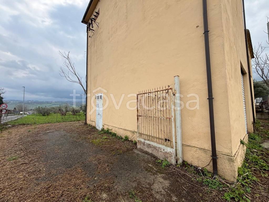 immagine annuncio 6 di 12