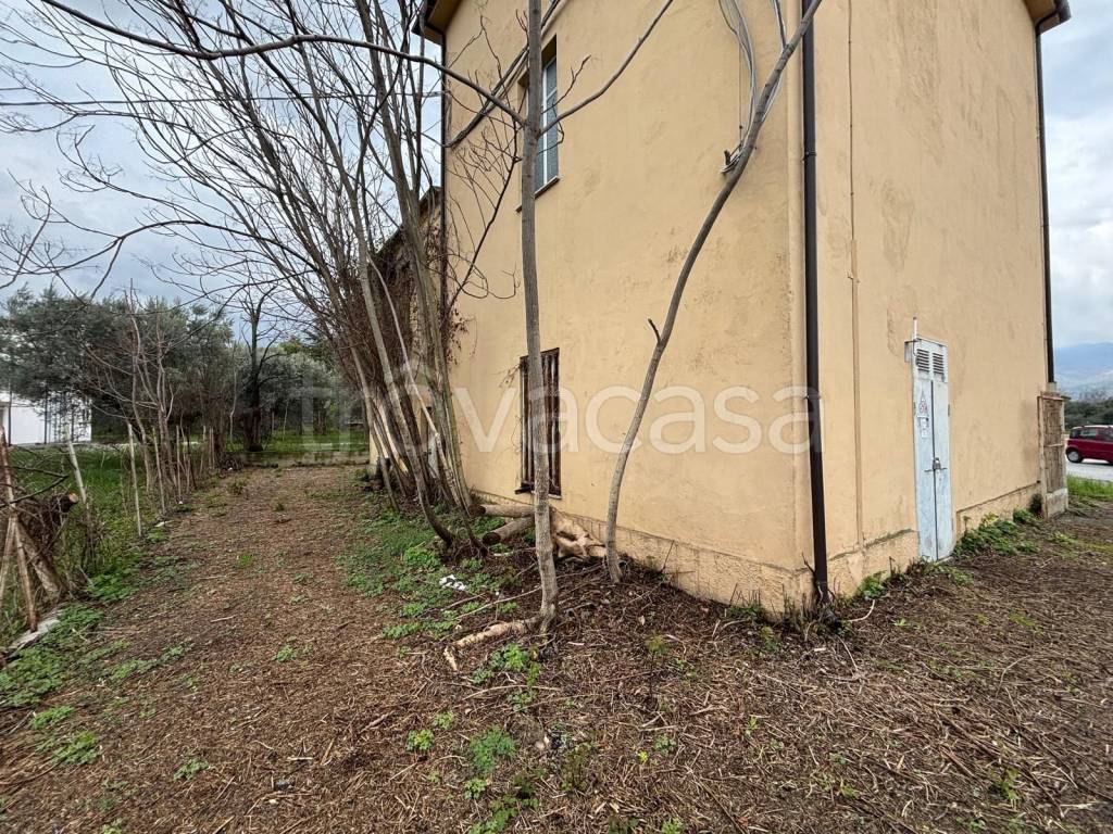 immagine annuncio 7 di 12