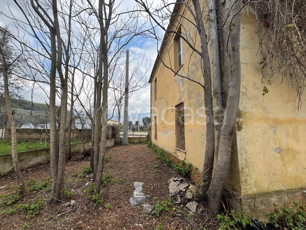 immagine annuncio 8 di 12