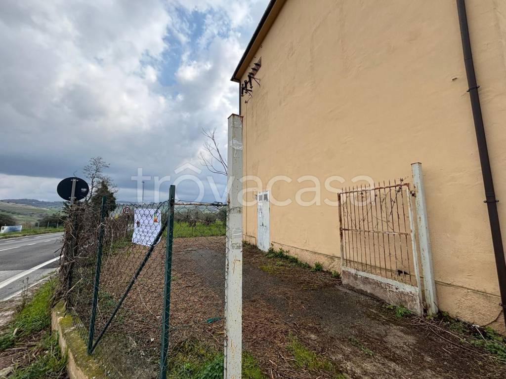 immagine annuncio 10 di 12