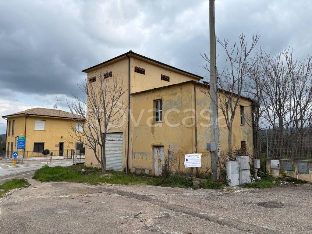 immagine annuncio 11 di 12