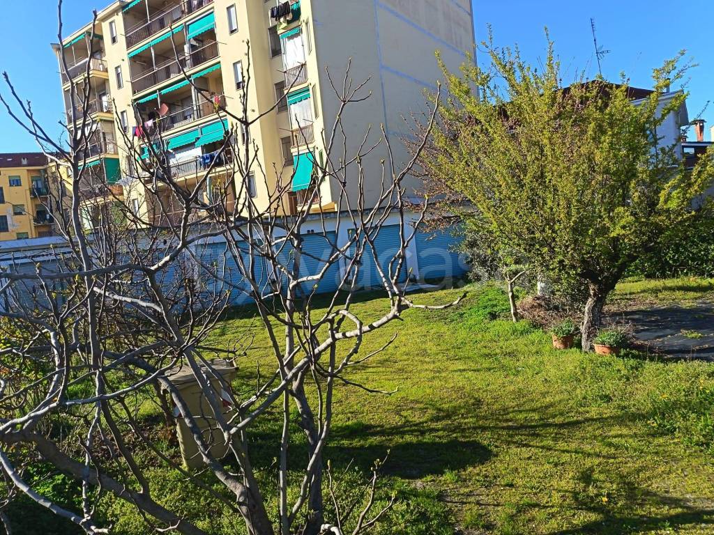 immagine annuncio 7 di 9