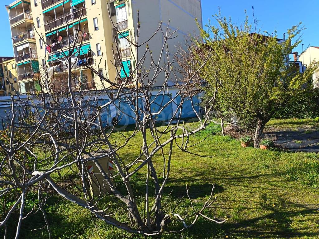 immagine annuncio 8 di 9