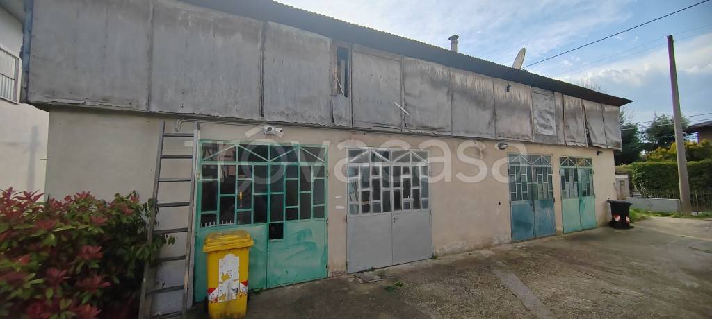 immagine annuncio 2 di 11