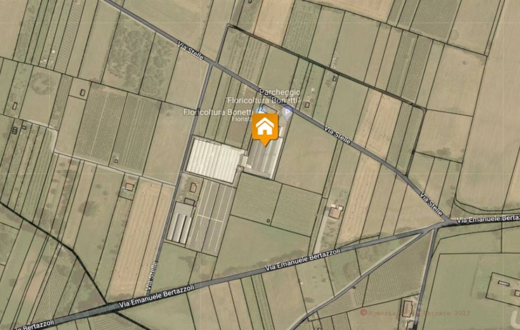 immagine annuncio 4 di 8