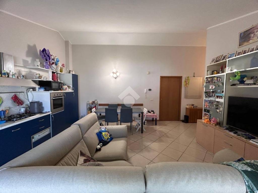 immagine annuncio 6 di 15