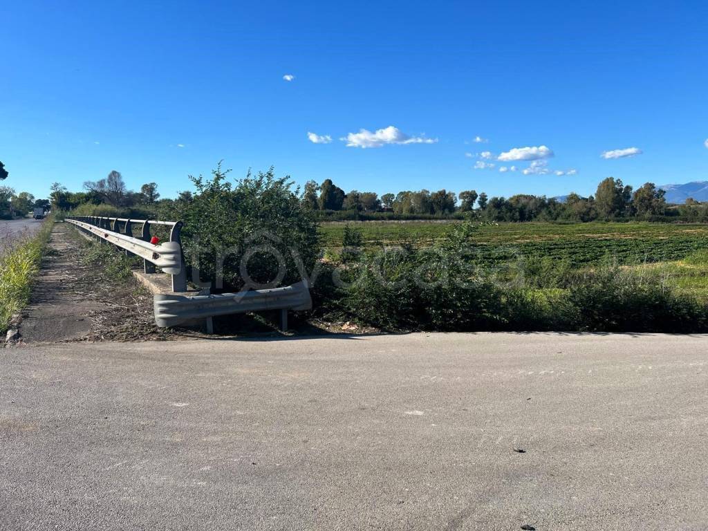 immagine annuncio 3 di 7