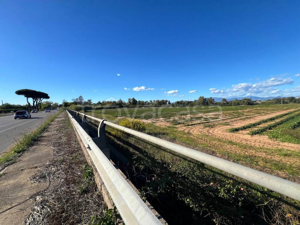 immagine annuncio 4 di 7