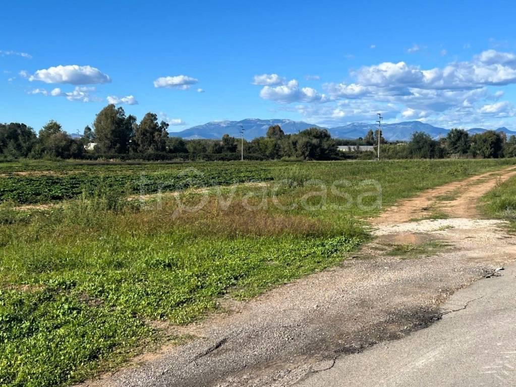 immagine annuncio 5 di 7