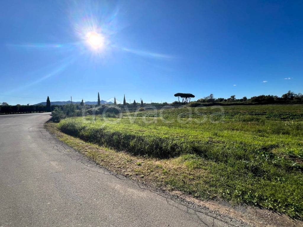 immagine annuncio 6 di 7