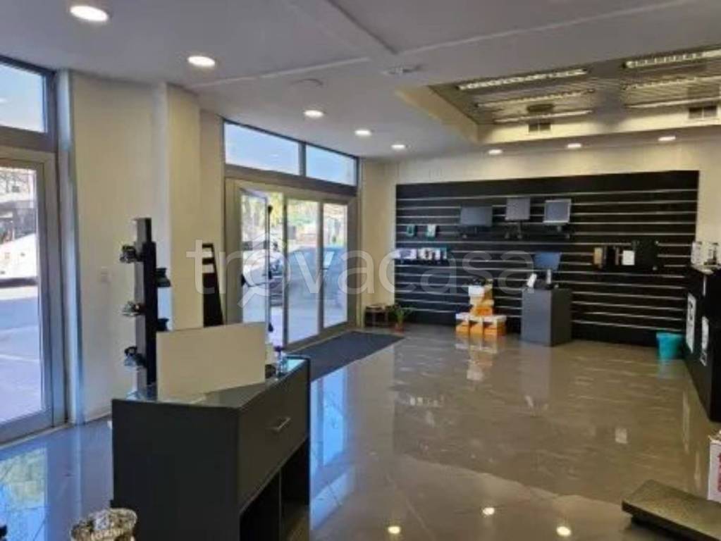 immagine annuncio 2 di 12