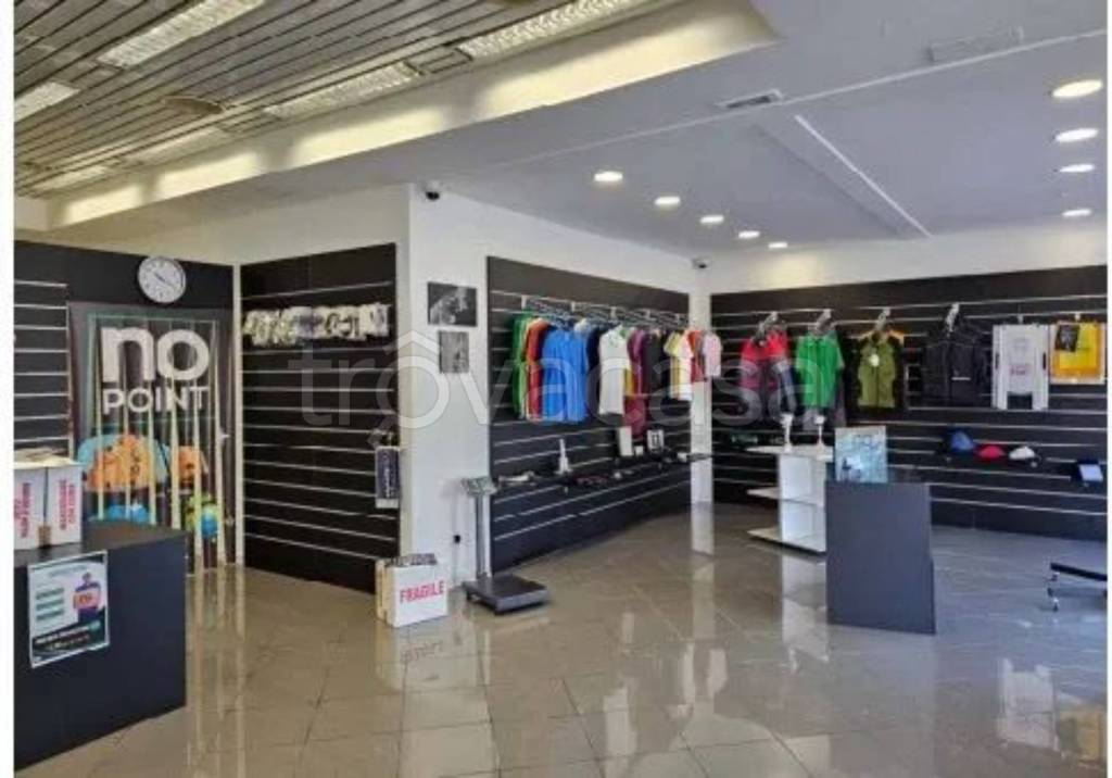 immagine annuncio 5 di 12