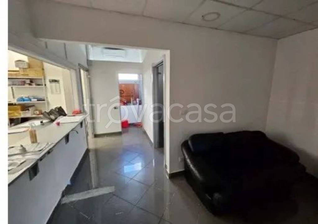 immagine annuncio 11 di 12