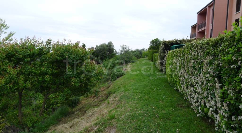 immagine annuncio 1 di 9