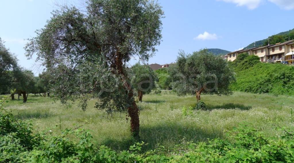 immagine annuncio 2 di 9