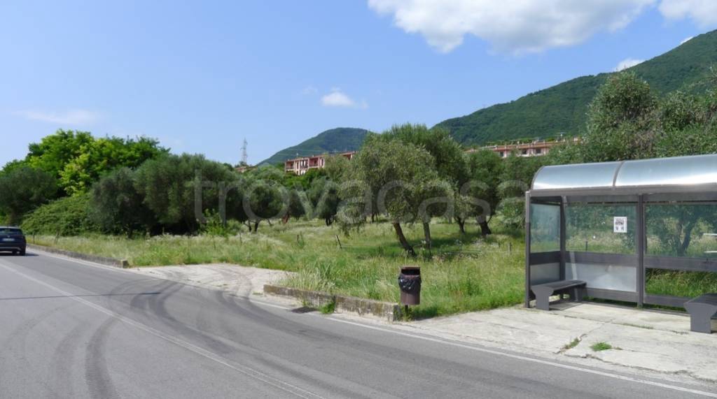 immagine annuncio 4 di 9