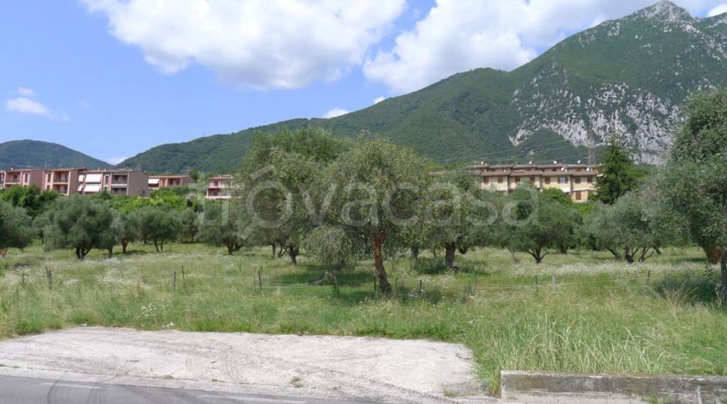 immagine annuncio 5 di 9