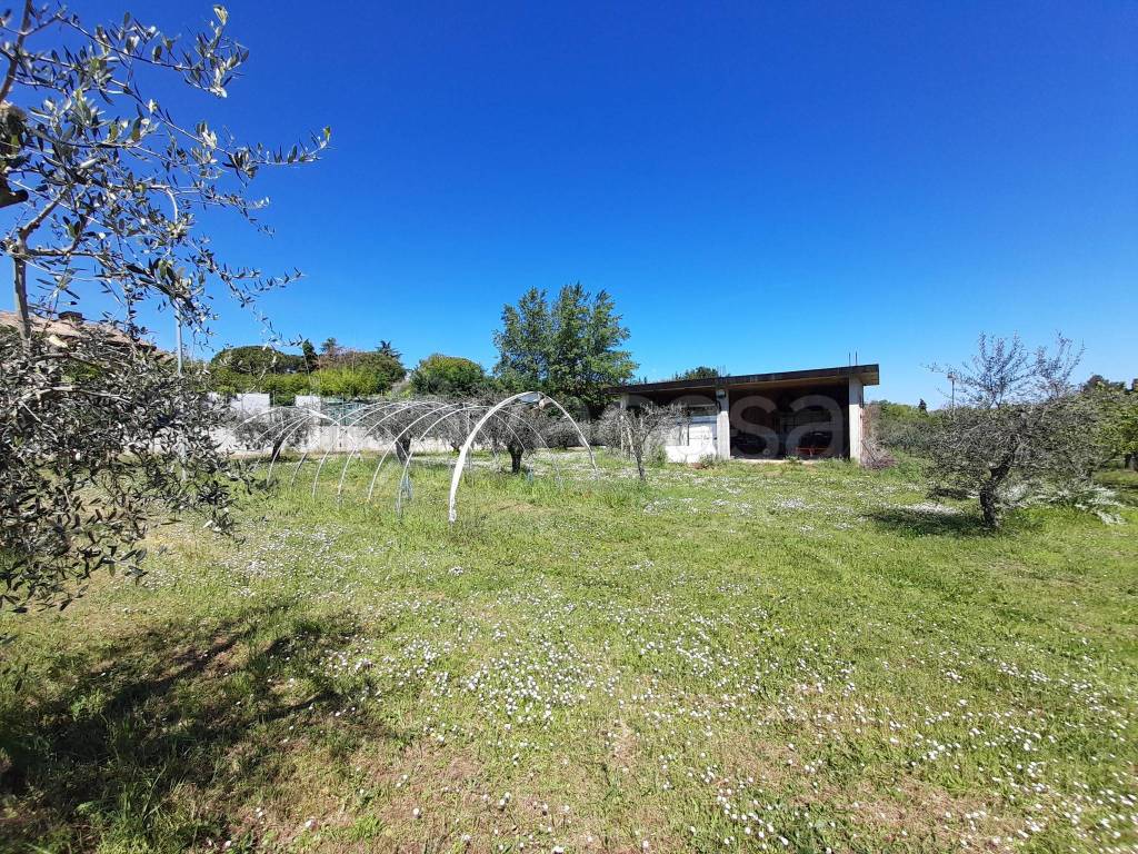 immagine annuncio 2 di 12