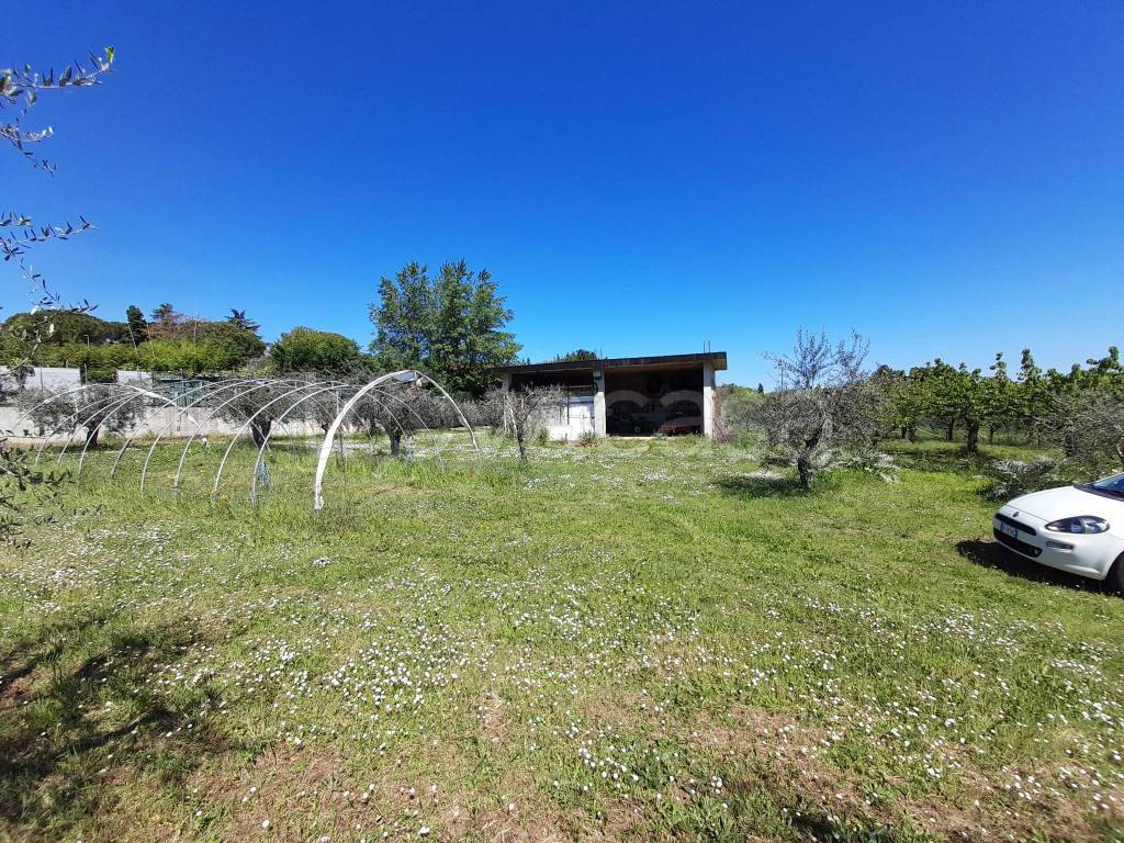 immagine annuncio 7 di 12