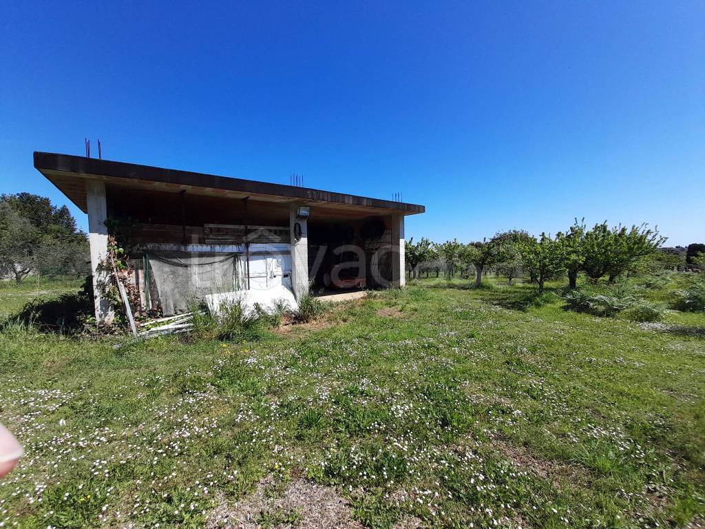 immagine annuncio 5 di 12