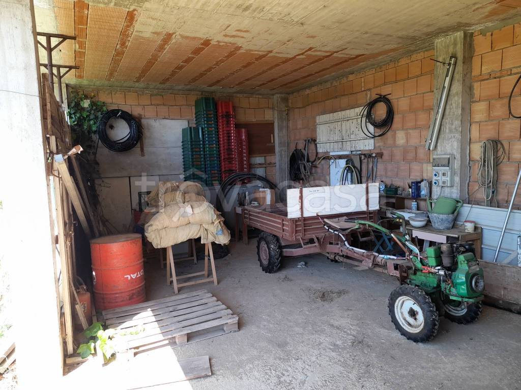 immagine annuncio 8 di 12