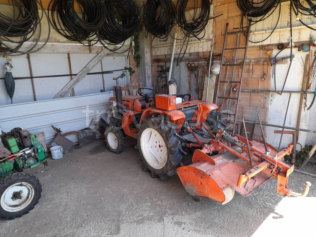 immagine annuncio 9 di 12