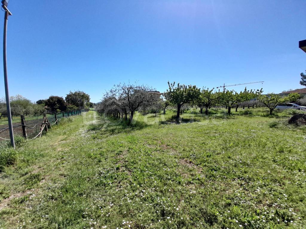 immagine annuncio 4 di 12