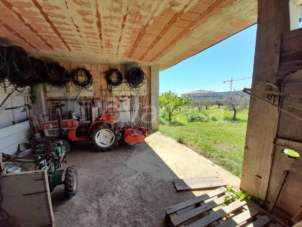 immagine annuncio 10 di 12