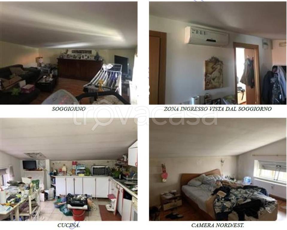 immagine annuncio 2 di 14