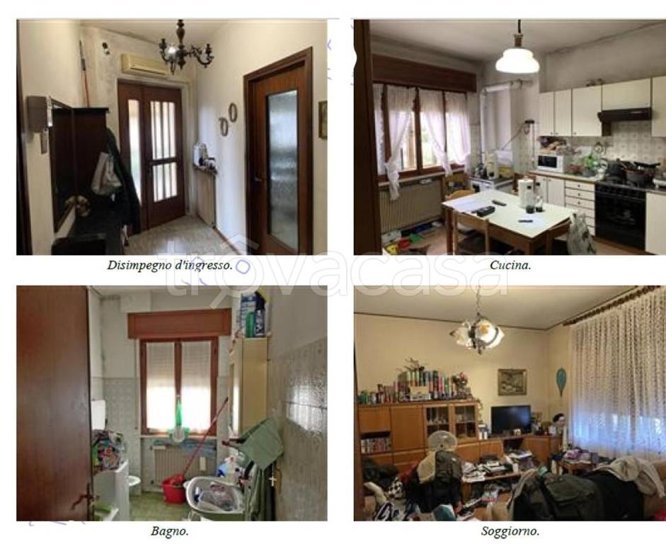 immagine annuncio 3 di 14