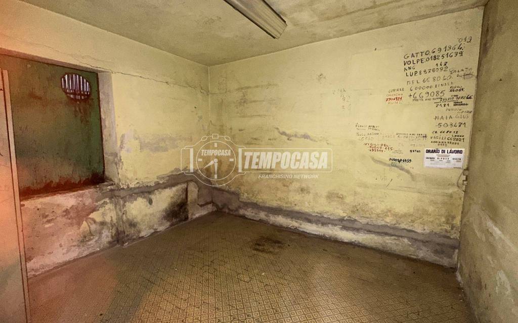 immagine annuncio 6 di 13