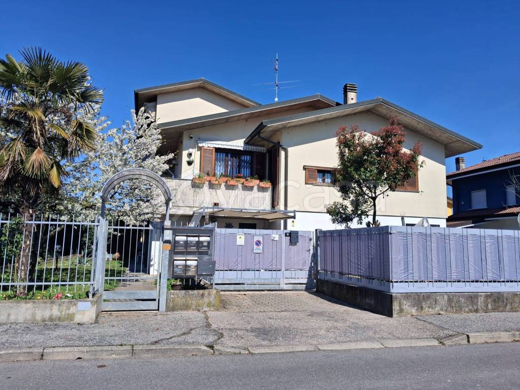 immagine annuncio 5 di 15