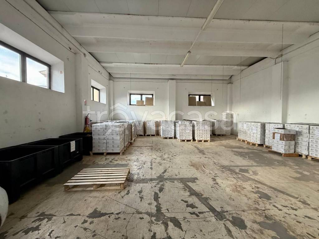 immagine annuncio 1 di 9