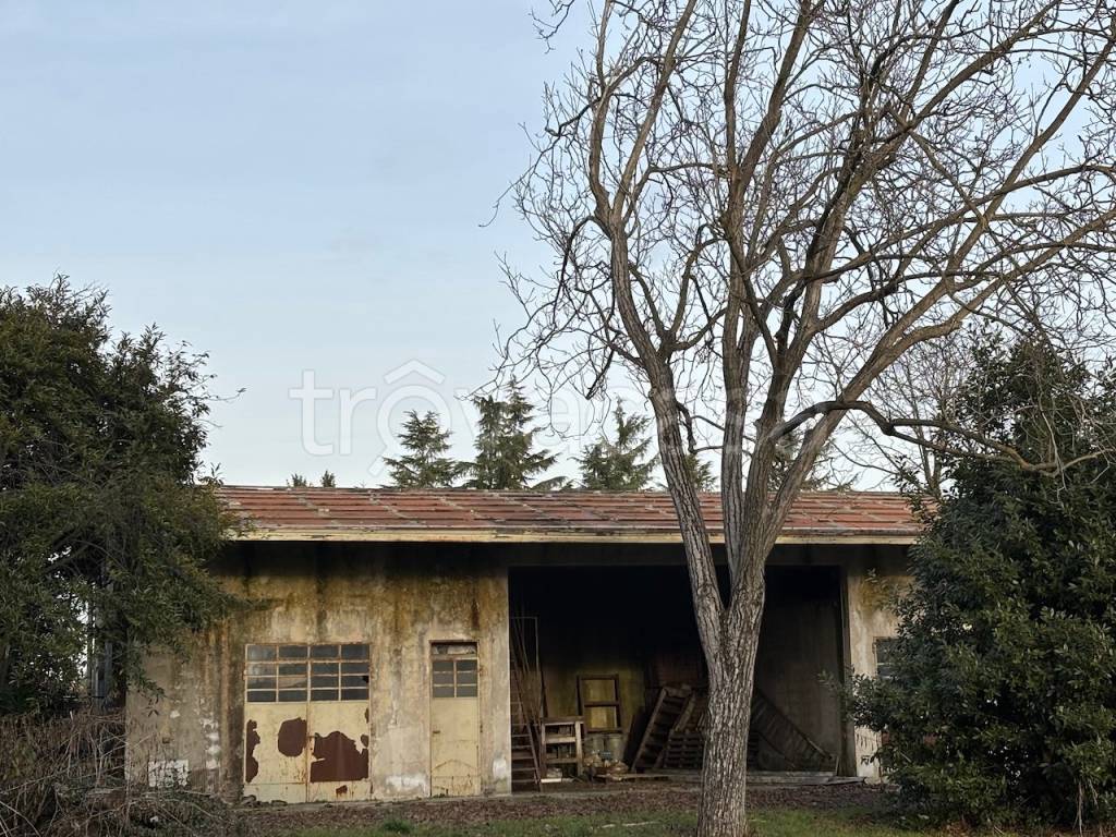 immagine annuncio 2 di 6