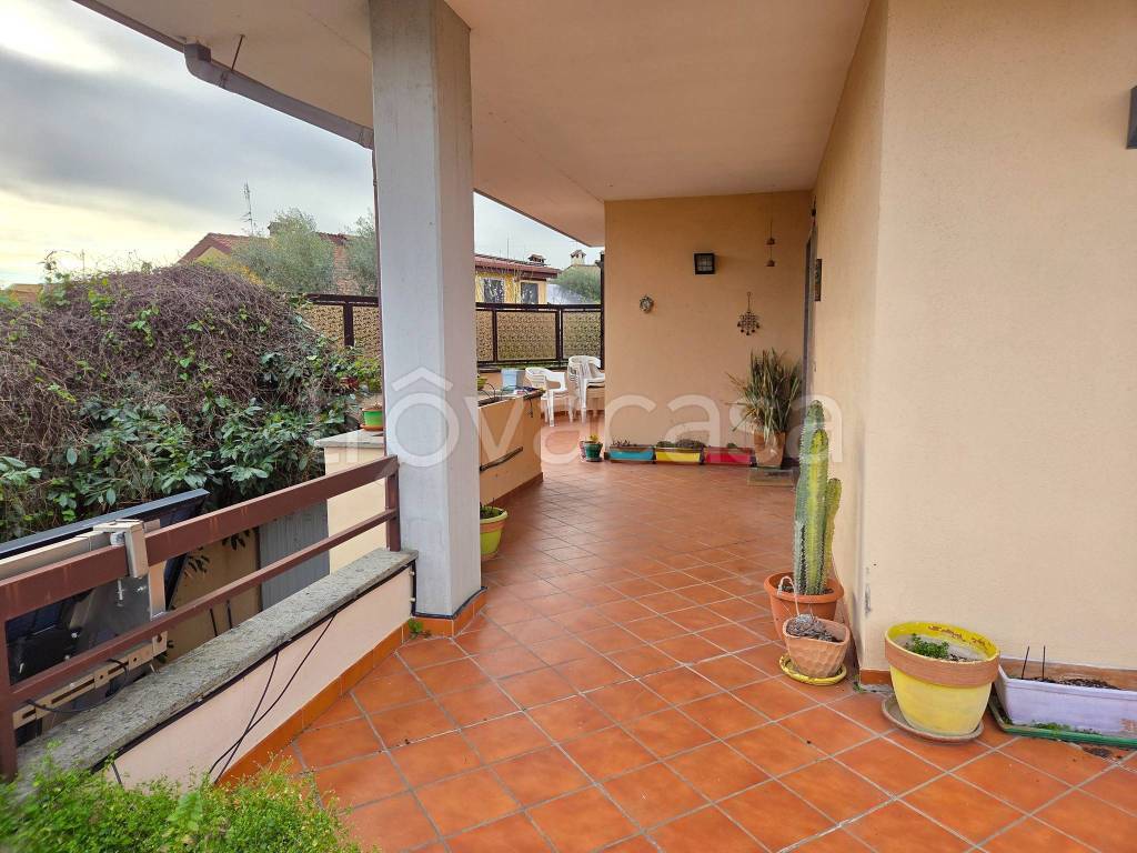 immagine annuncio 12 di 15